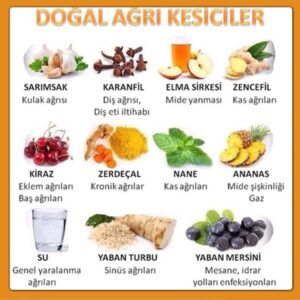 Doğal Ağrı Kesiciler