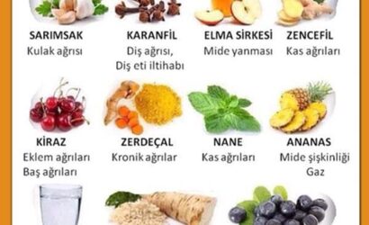Doğal Ağrı Kesiciler