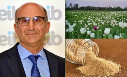 Haşhaş Hindistan seferine çıktı
