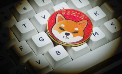 Shiba yeni listeleme haberleri
