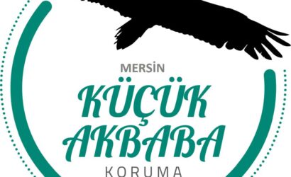 Küçük Akbabaları Koruma Projesi