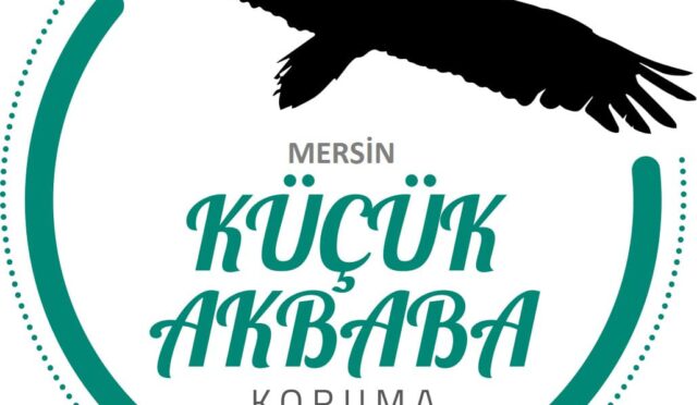 Küçük Akbabaları Koruma Projesi