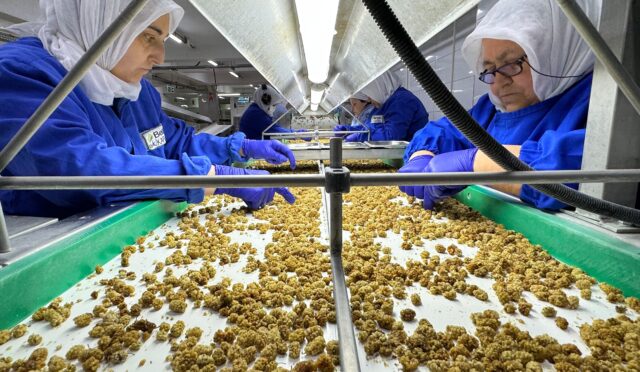 Organik ürün ihracatında 1 milyar dolar sınırını aştı