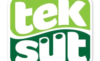 teksüt