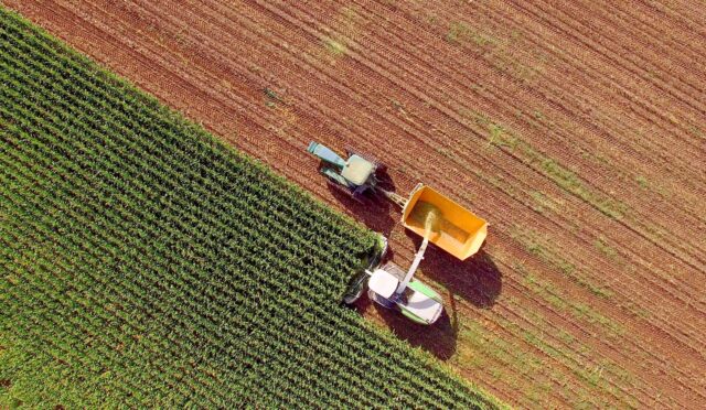 Türkiye Kalkınma ve Yatırım Bankası