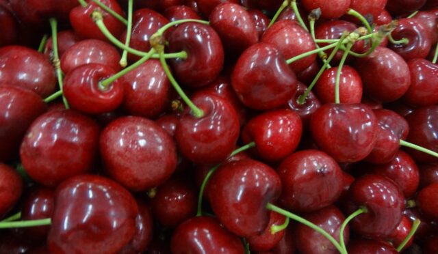 Kiraz ihracatının lideri Almanya